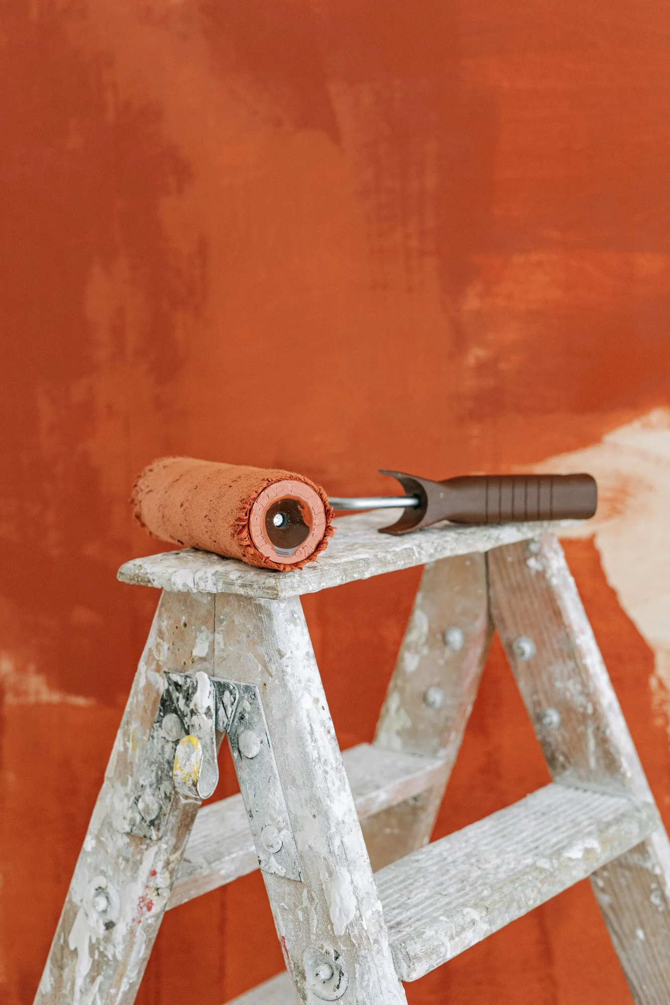 Paint roller and ladder